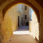 OLYMPUS-DIGITAL-CAMERA