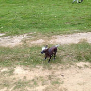 IMG-4003