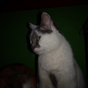 IMG-20220124-025443