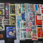 IMG-3115