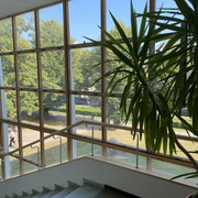 IMG-3006