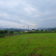P1330415