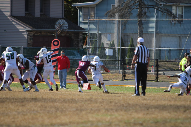 IMG-8233.jpg