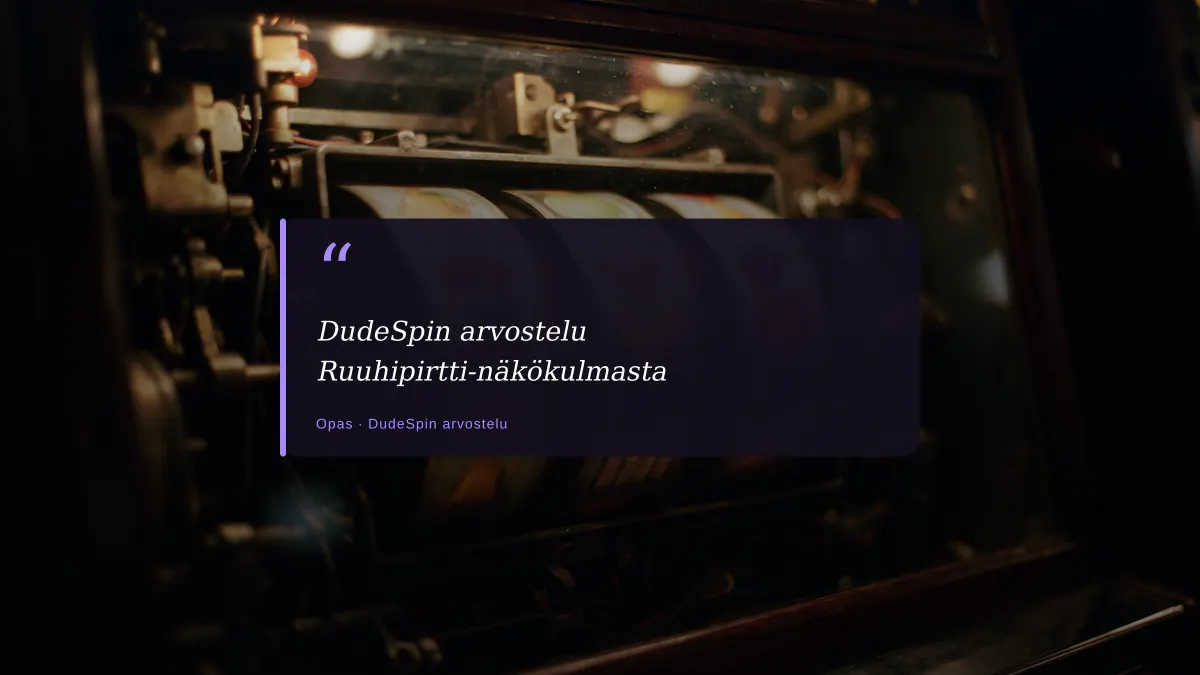 DudeSpin arvostelu Ruuhipirtti-näkökulmasta