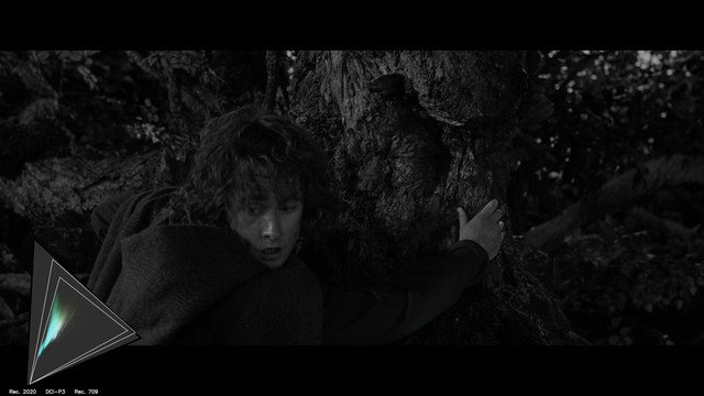 gamut-LOTR20064
