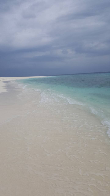 IMG 4968