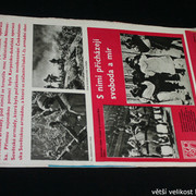IMG-8633