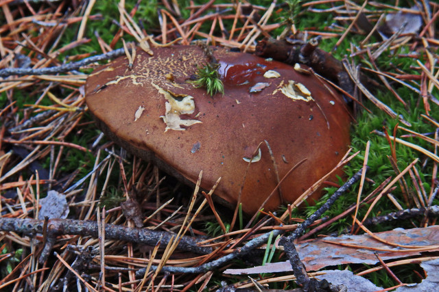 PA010156