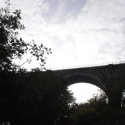 DSCF6763