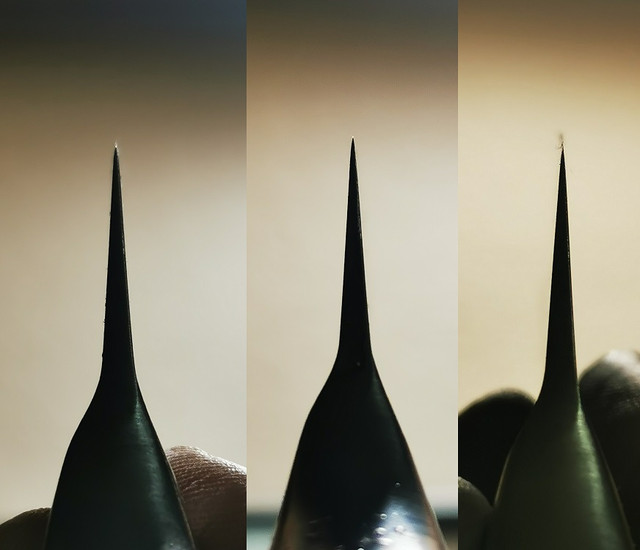 XX1
