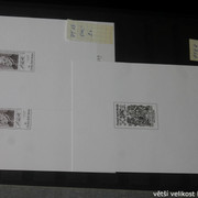 IMG-2392