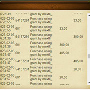 Accounting14-Mextli