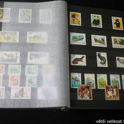 IMG-2254