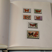 IMG-3950
