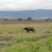 DSCN4505