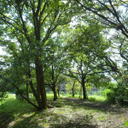 P1350288