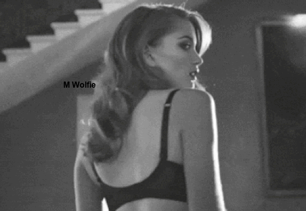 1.gif