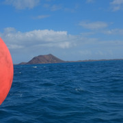 DSCF8641