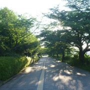P1320082