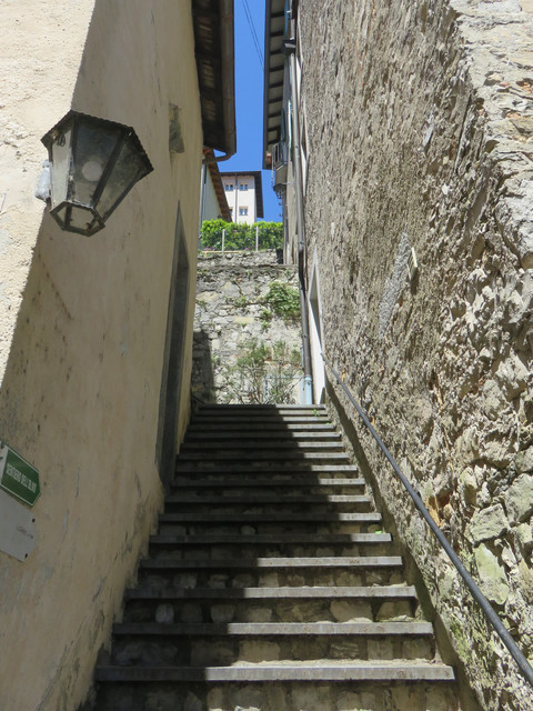 IMG-7