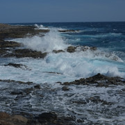 DSCF8200