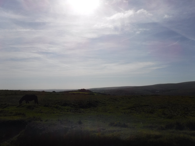 DSCF5520.jpg