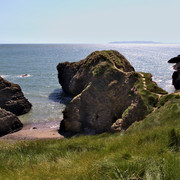 IMGP1360a