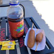 picnic-1