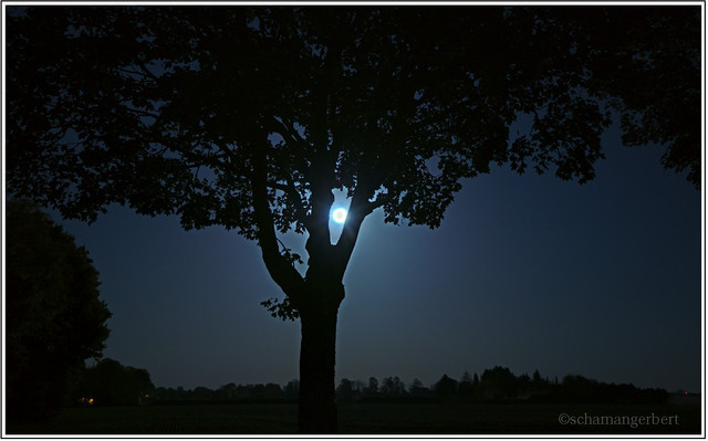 IMG-9020-02