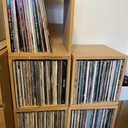 IMG-1029
