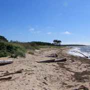 IMG-1508