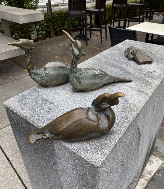 IMG-2713