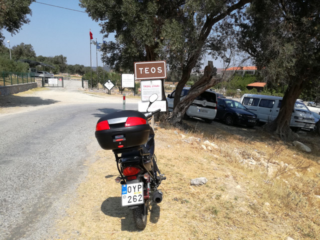 teos8.jpg