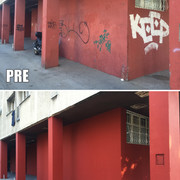 IMG-6618