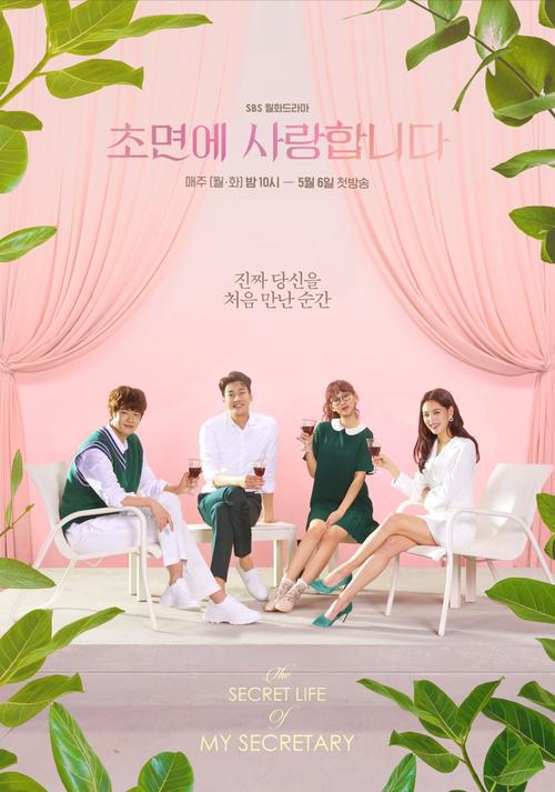 The Secret Life of My Secretary [K-Drama] (2019)