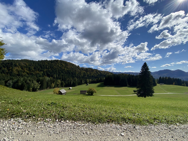IMG-3387.jpg