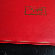 DSC06849