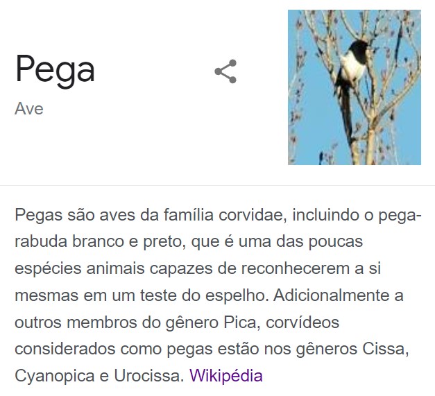 spacer.png