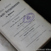 IMG-4229