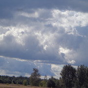 DSC00703