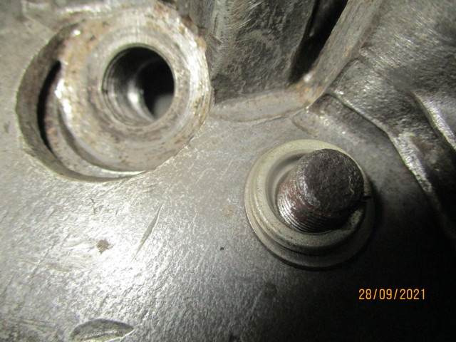 IMG-8449.jpg