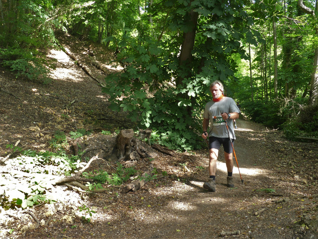 P1020455-2.jpg