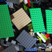 IMG-8731