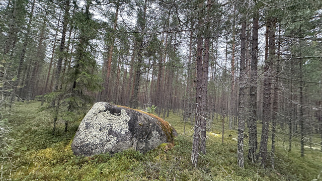 IMG 4985.jpg