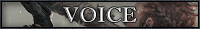 voice.png
