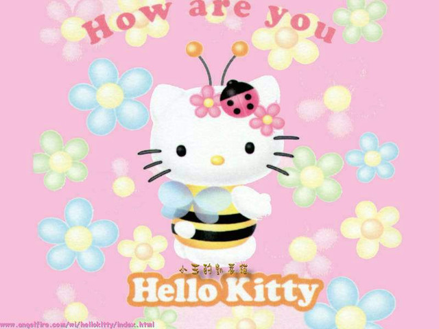 kittywall14