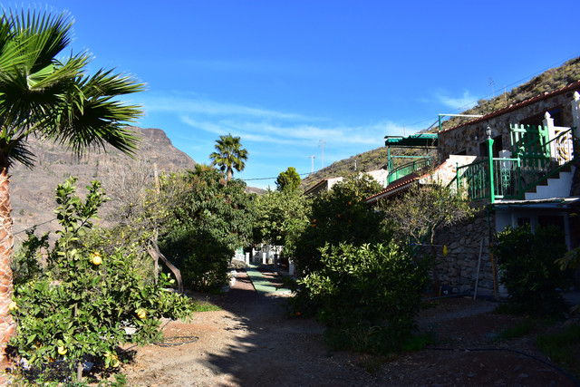 DSC 0655