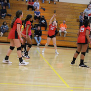 IMG-0335