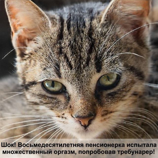 Загружено: Ксения Абрамова. Россия Мурманск