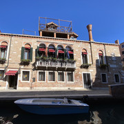 IMG-3536